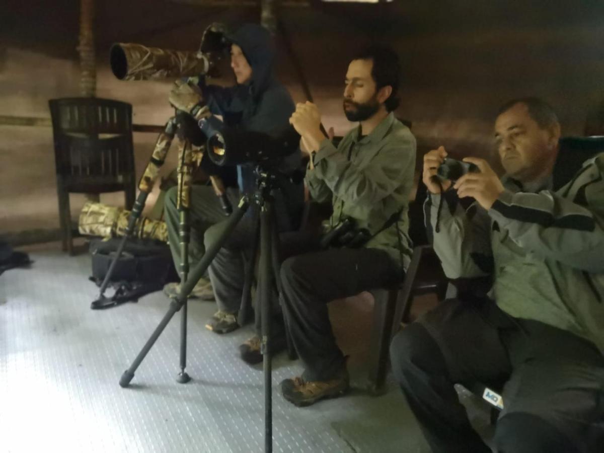 Bosque De Niebla Birding & Nature Cali Eksteriør bilde