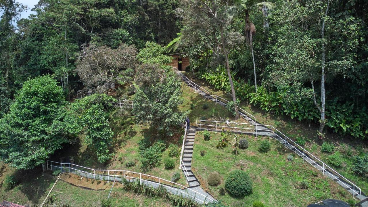 Bosque De Niebla Birding & Nature Cali Eksteriør bilde