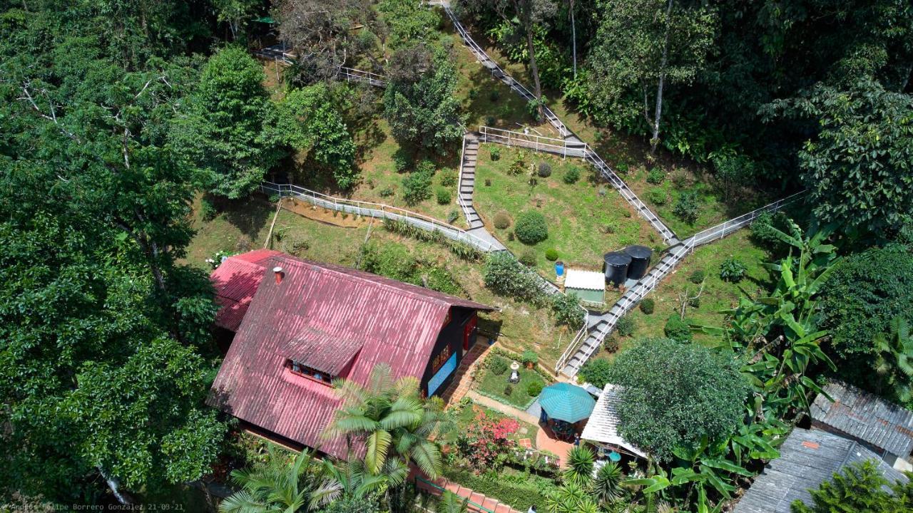 Bosque De Niebla Birding & Nature Cali Eksteriør bilde